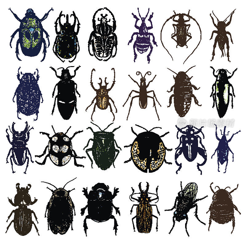 Big set of color insect stipple hand draw isolated. Colour insects and bugs collection in trendy embroidery stippling and hatching, shading style. Vector.